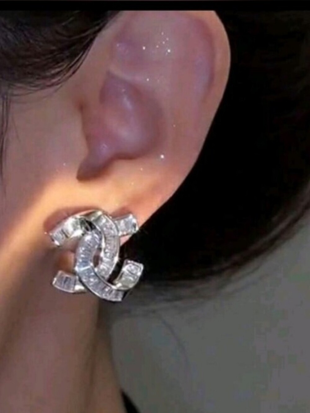 Luxury Style Earrings